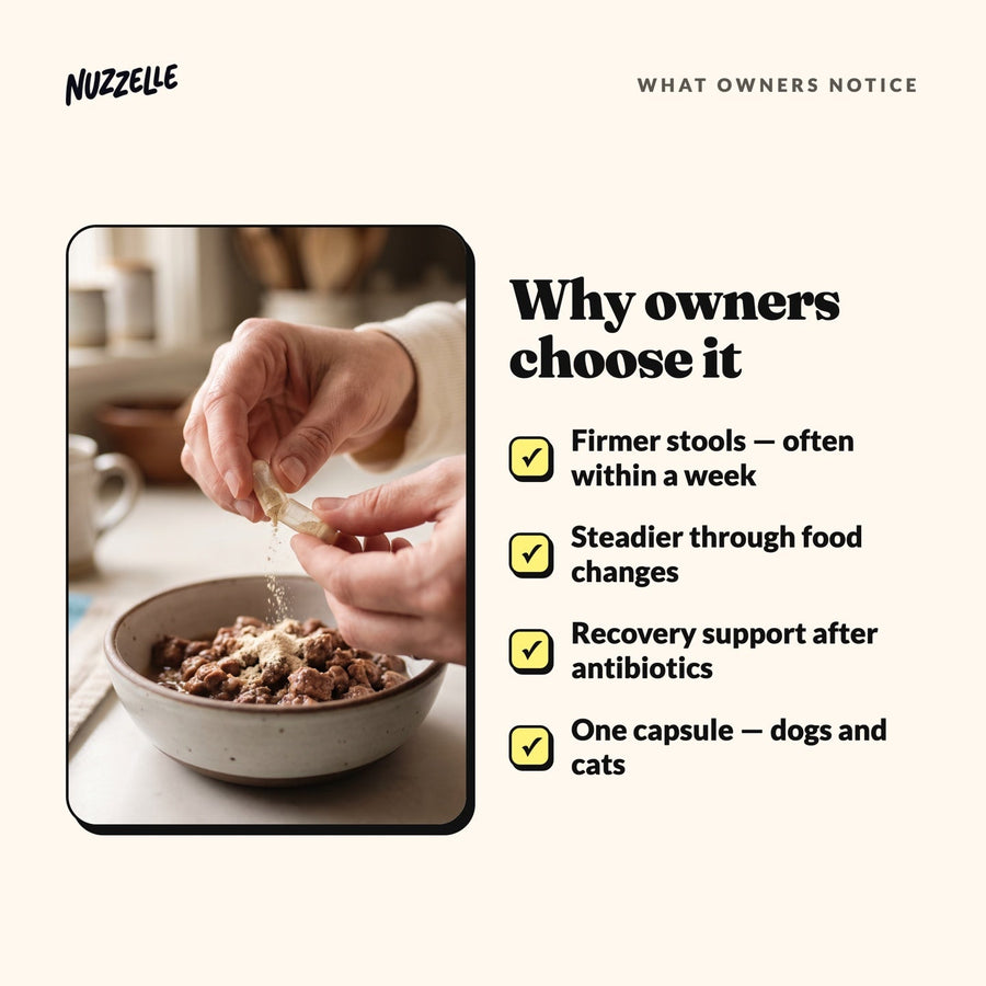 Why owners choose Nuzzelle Gut Balance