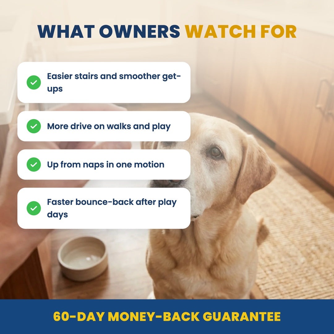 What owners watch for — 60-day money-back guarantee