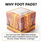 Why Foot Pads - Transdermal absorption science diagram