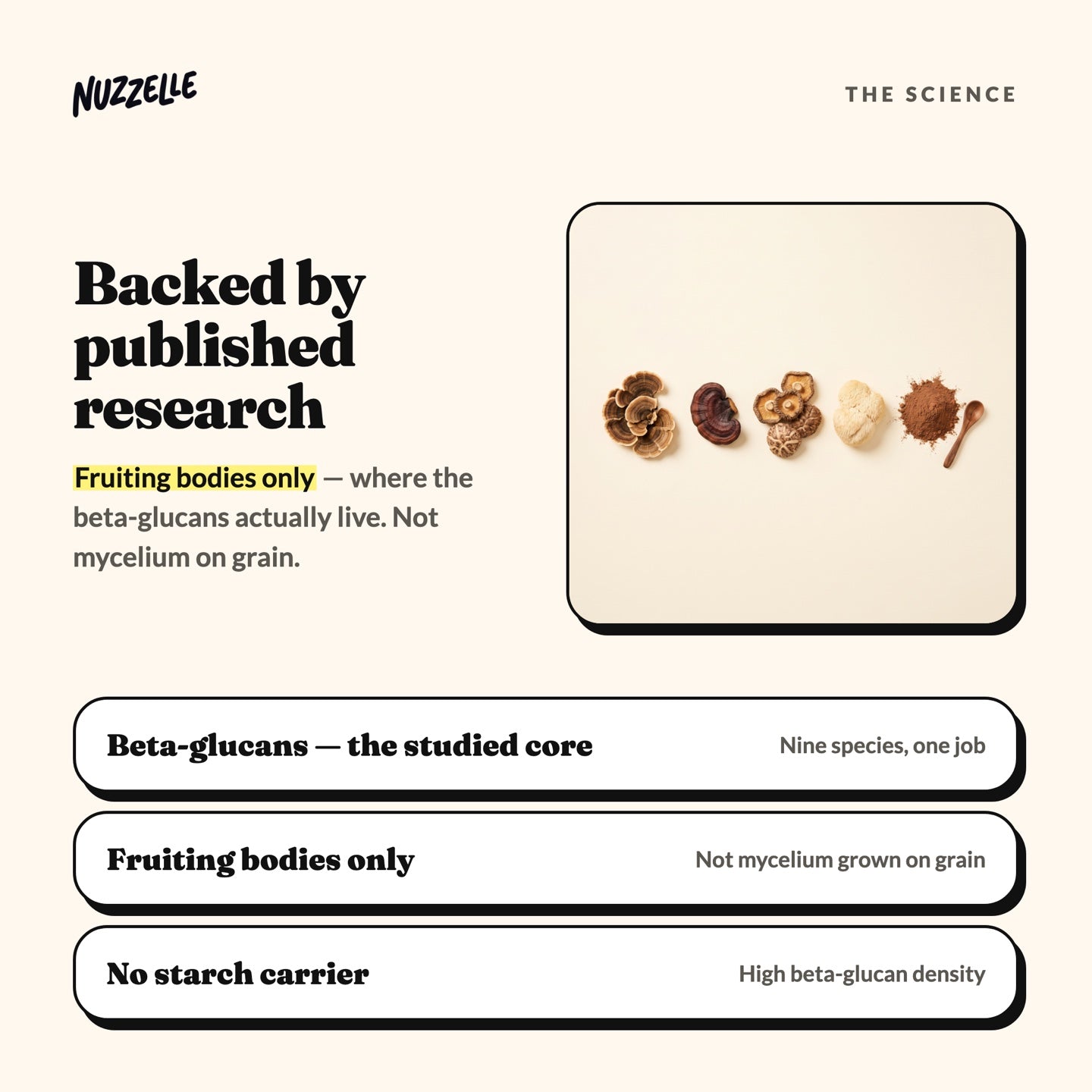The science behind Nuzzelle Mushroom Immune Blend