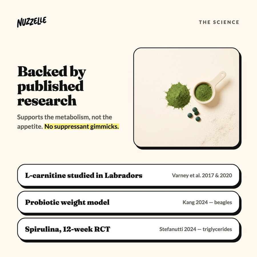 The science behind Nuzzelle Weight Support