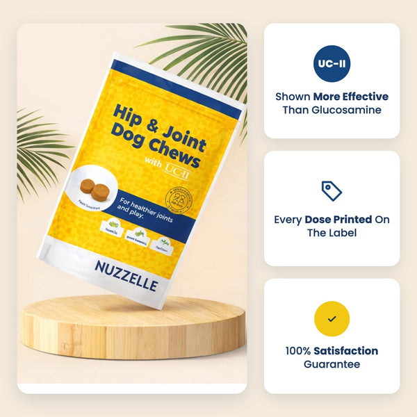Nuzzelle Hip & Joint Dog Chews